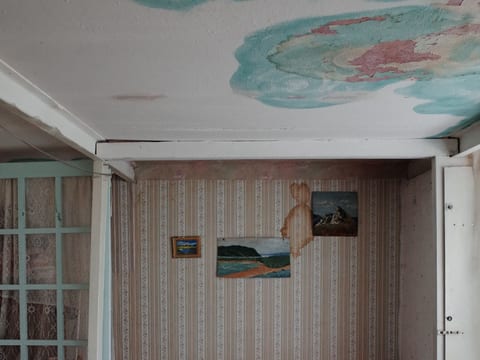 Roof Leak Detection & Repair
